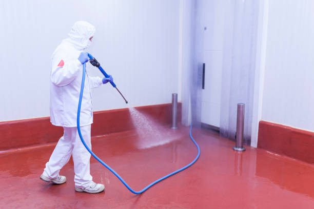 Best Factory Floor Cleaning  in Saginaw, MI